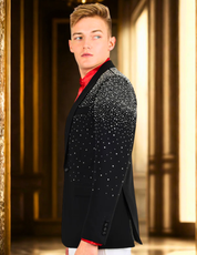 Splendor Cast Rhinestone Blazer Black / Silver