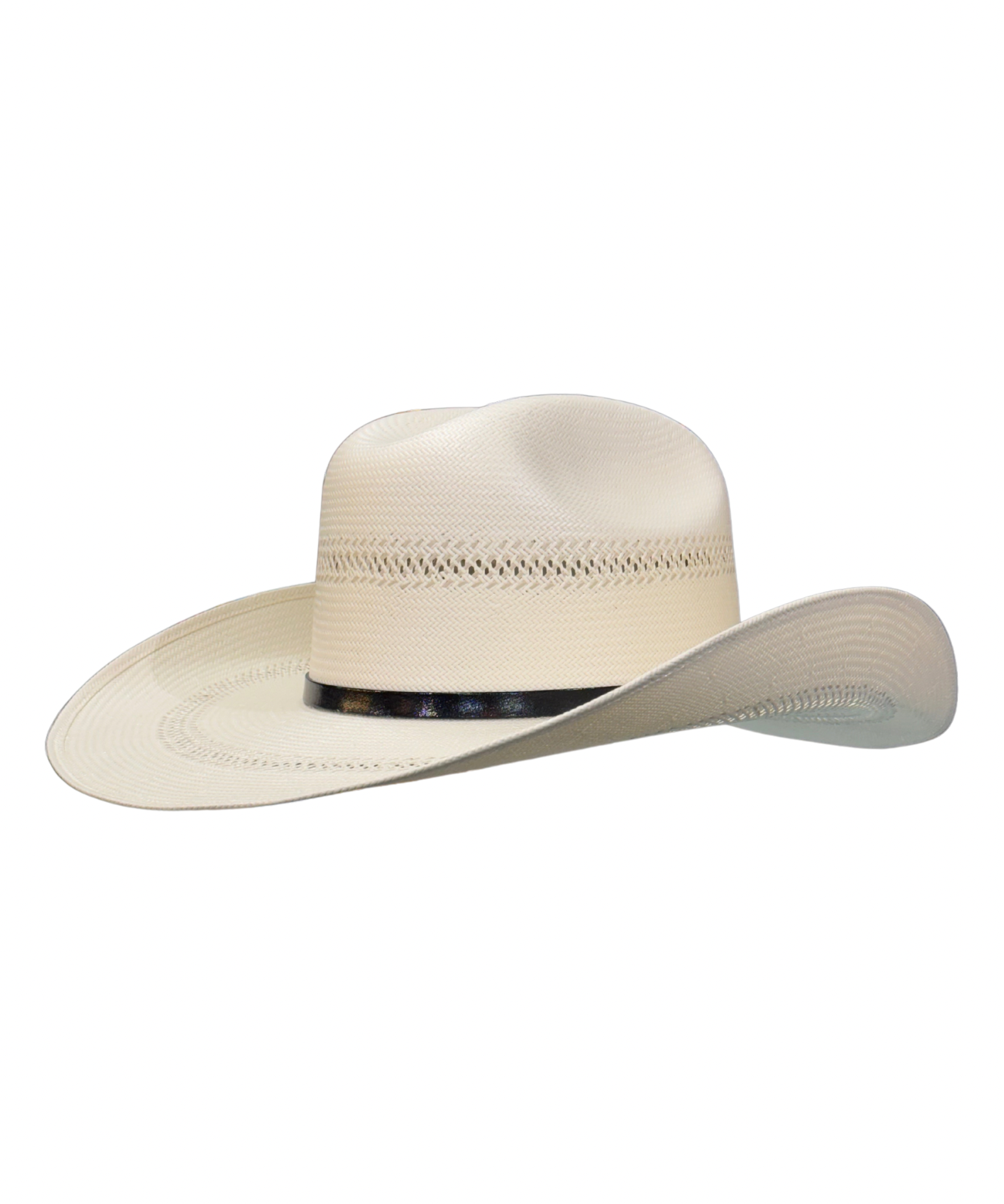 IMG-6700.png